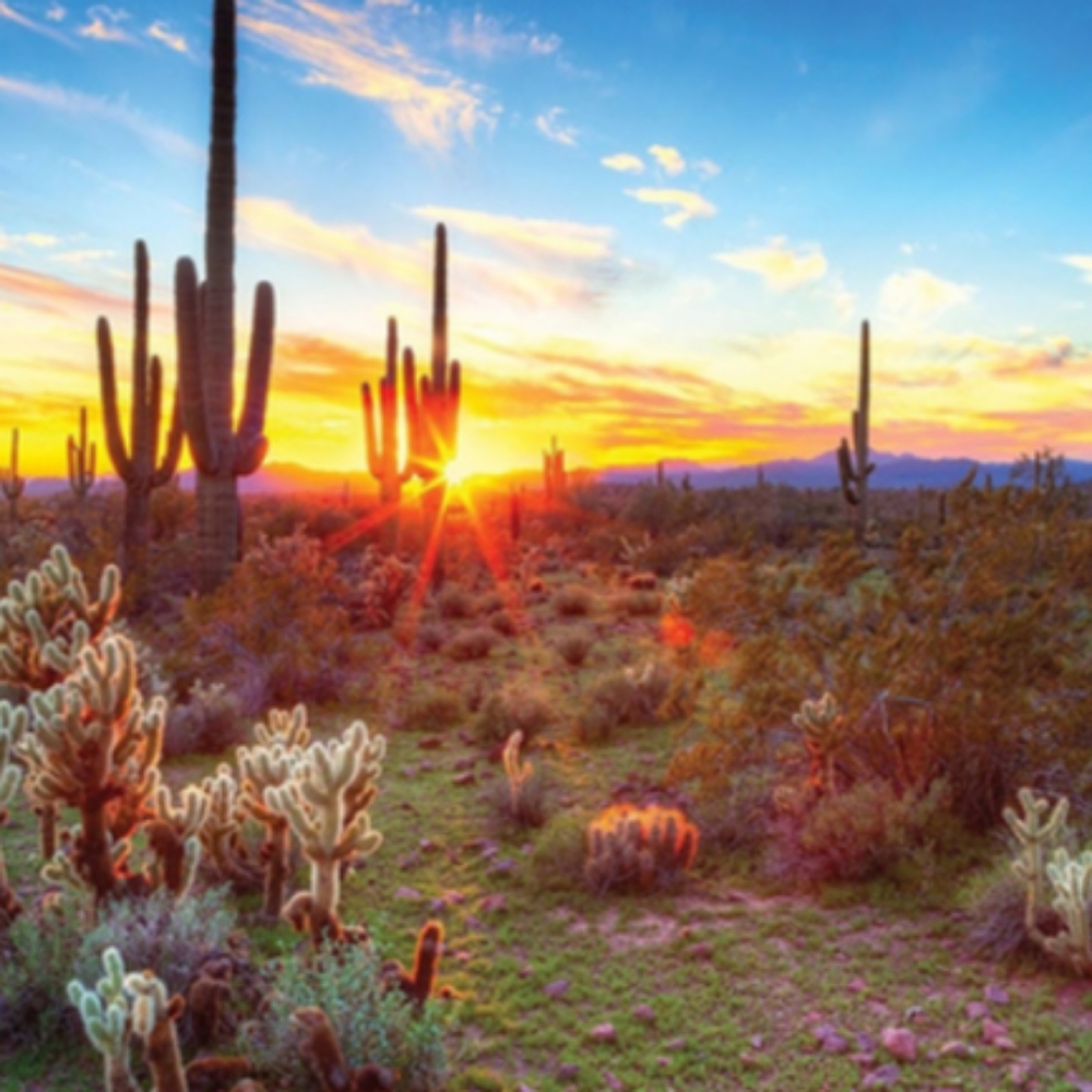 Meet your Posher, Toi